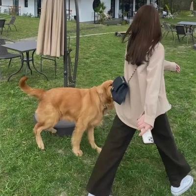 坏心眼